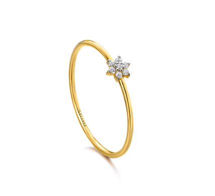 Mini-Rosetten-Ring aus Gold mit Diamanten LeCarré (GA102OA.17)